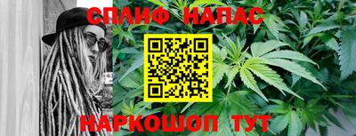 мяу мяу мука Кандалакша