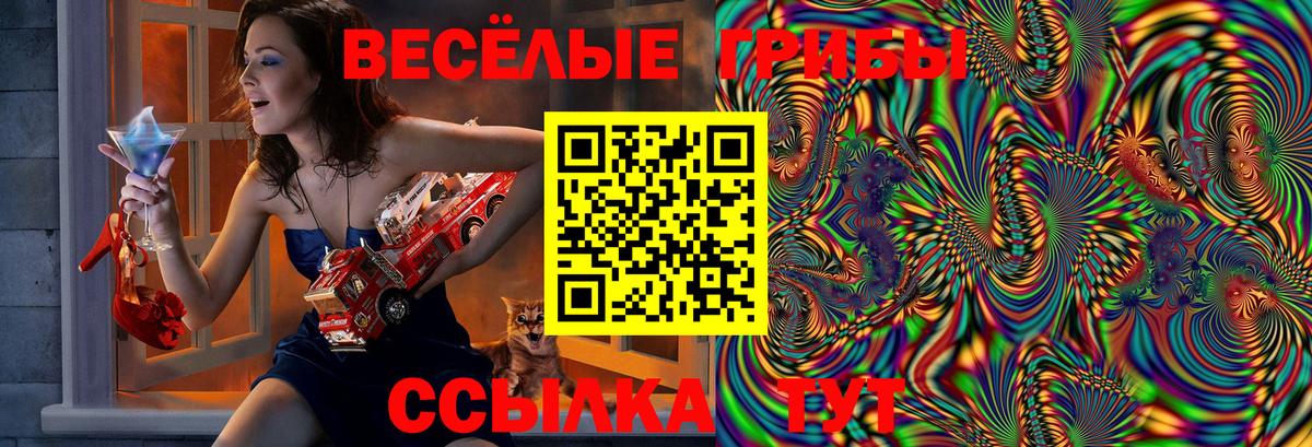 Галлюциногенные грибы мухоморы Павлово