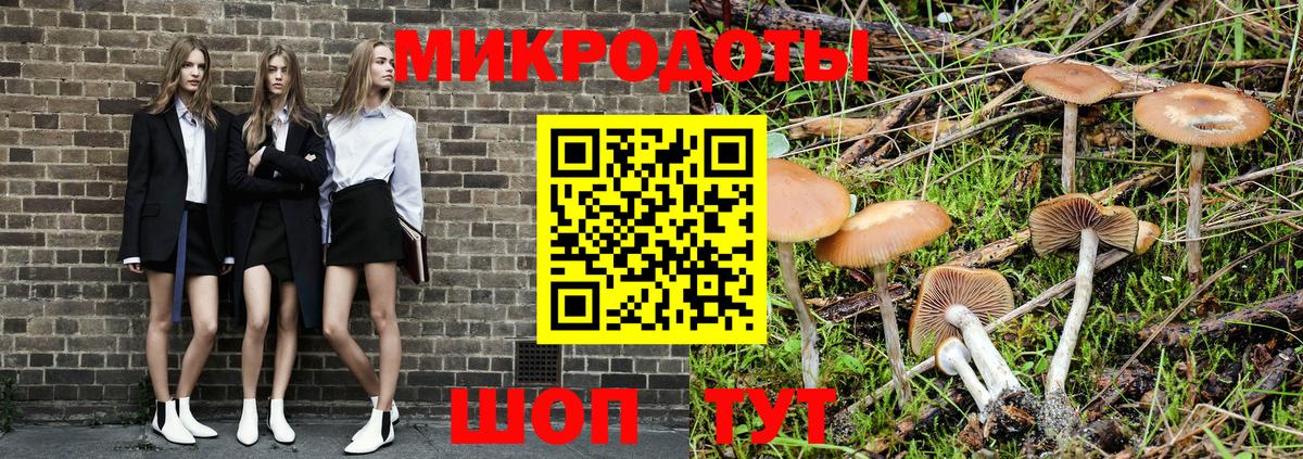 Псилоцибиновые грибы Psilocybine cubensis  Вход с VPN  Павлово  Псилоцибиновые грибы мицелий 